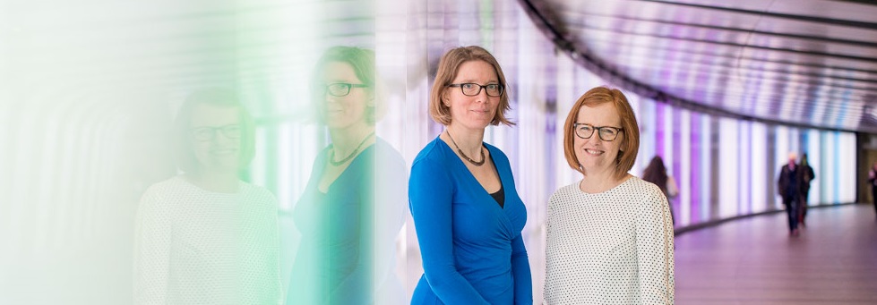 Brainybirdz corporate portraits