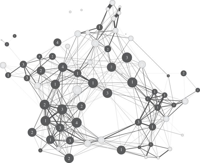 bird-network